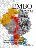 EMBO_2019